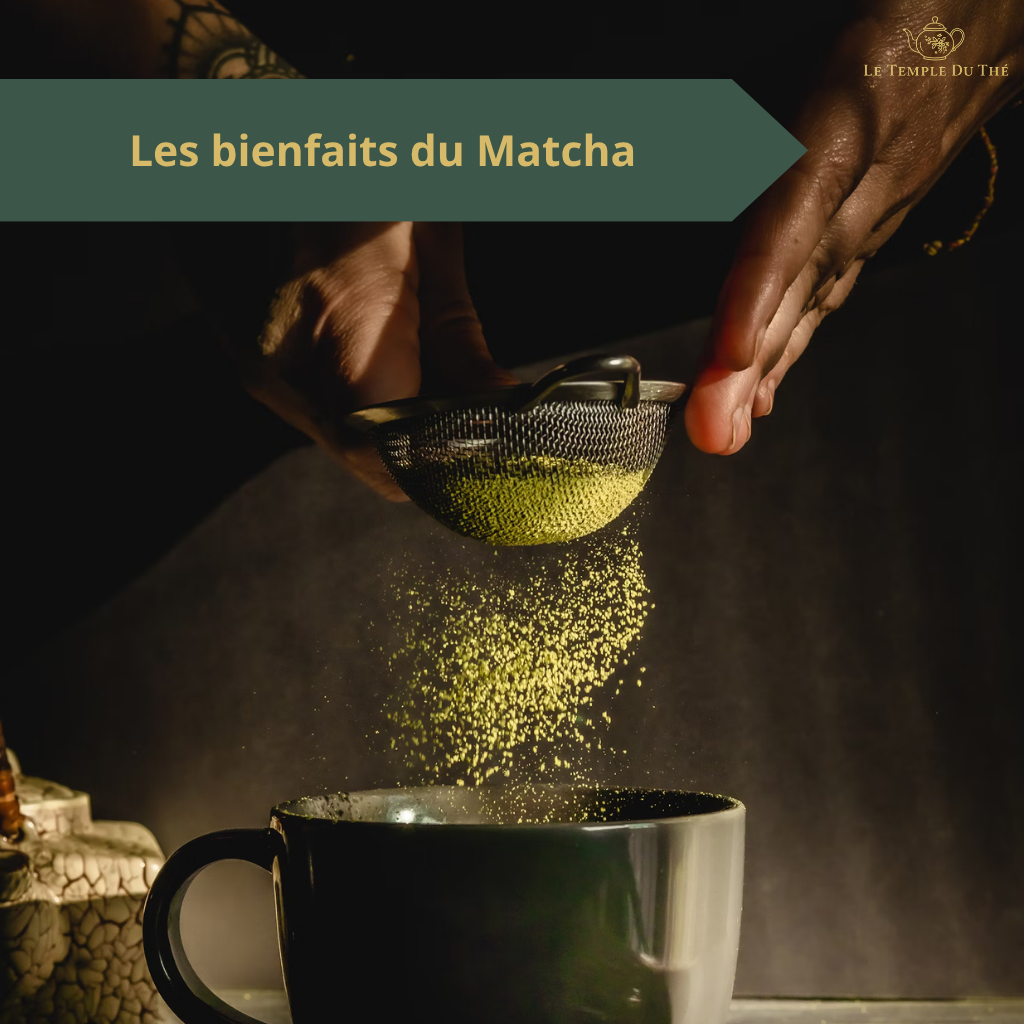 Les Bienfaits du Matcha : Le Guide Complet pour Comprendre ce Thé d’Exception