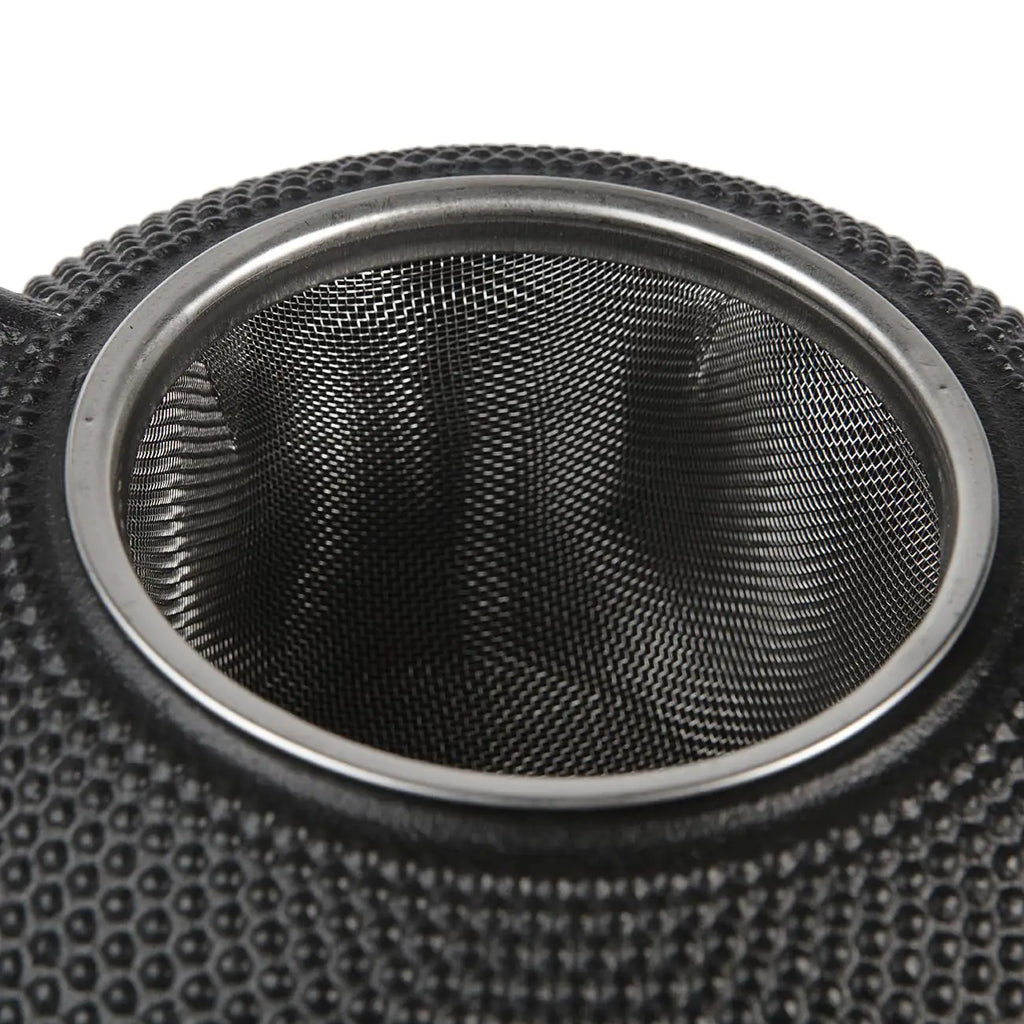 Théière Japonaise en Fonte 650 ml – Bouilloire Artisanale Grande Capacité