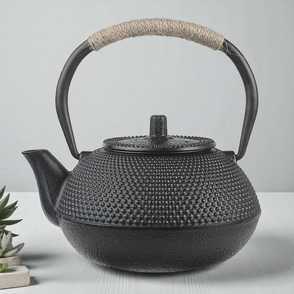 Théière Japonaise en Fonte 650 ml – Bouilloire Artisanale Grande Capacité