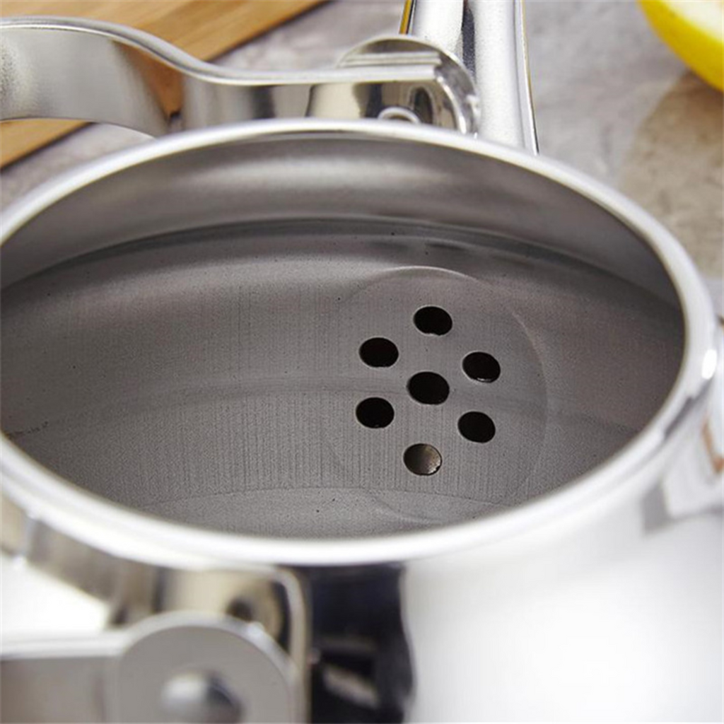 Théière en inox | Argentée avec infuseur